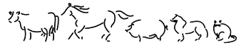 Logo Tierarztpraxis Christina Eichiner